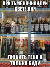 при тьме ночной,при свете дня любить тебя я только буду