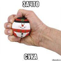 зачто сука