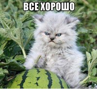 все хорошо 