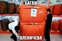 багаж аленичева