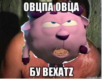 овцпа овца бу bexatz