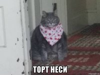  торт неси
