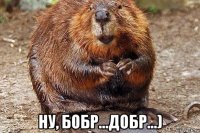  ну, бобр...добр...)