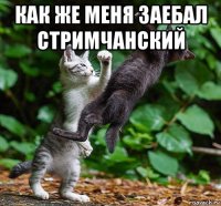 как же меня заебал стримчанский 