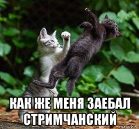  как же меня заебал стримчанский