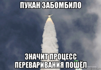 пукан забомбило значит процесс переваривания пошёл