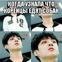 когда узнала что корейцы едят собак 