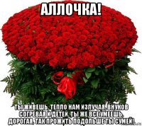 аллочка! ты живешь, тепло нам излучая, внуков согревая и детей. ты же все умеешь, дорогая, так прожить подольше ты сумей!