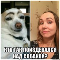  кто так поиздевался над собакой?