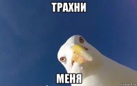 трахни меня