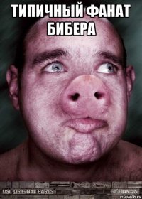типичный фанат бибера 
