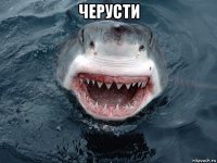 черусти 