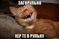 загорулько хер те в рульку