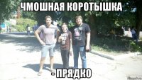 чмошная коротышка - прядко