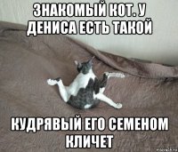 знакомый кот. у дениса есть такой кудрявый его семеном кличет
