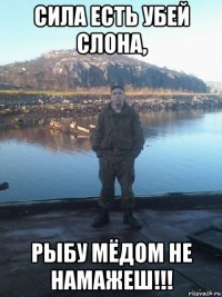 сила есть убей слона, рыбу мёдом не намажеш!!!