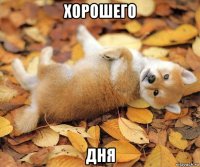 хорошего дня