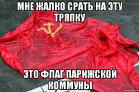мне жалко срать на эту тряпку это флаг парижской коммуны