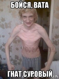 бойся, вата гнат суровый