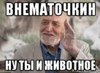 внематочкин ну ты и животное