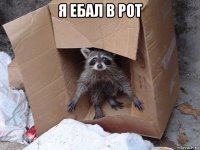 я ебал в рот 