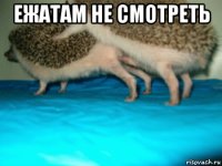 ежатам не смотреть 