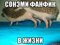 сонэми фанфик в жизни
