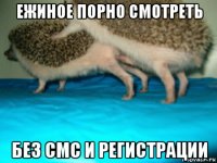 ежиное порно смотреть без смс и регистрации