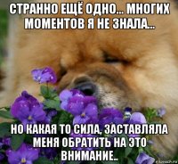 странно ещё одно... многих моментов я не знала... но какая то сила, заставляла меня обратить на это внимание..