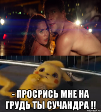  - просрись мне на грудь ты сучандра !!