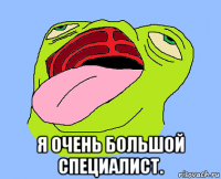  я очень большой специалист.