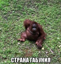  страна габуния