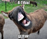 в губы целуй!