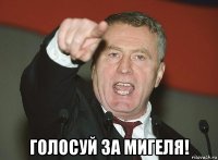  голосуй за мигеля!