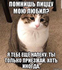 помнишь пиццу мою любил? я тебе ещё напеку. ты только приезжай. хоть иногда.