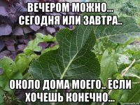 вечером можно... сегодня или завтра.. около дома моего.. если хочешь конечно...