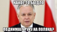 какое-то быдло поднимает руку на поляка?