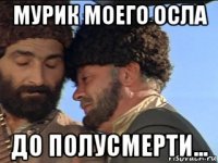 мурик моего осла до полусмерти...