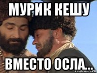 мурик кешу вместо осла...