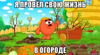 я провёл свою жизнь в огороде