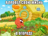 я провел свою жизнь в огороде