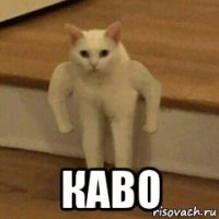  каво