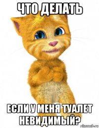 что делать если у меня туалет невидимый?