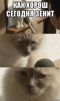 как хорош сегодня зенит 