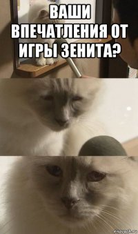 ваши впечатления от игры зенита? 