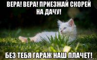 вера! вера! приезжай скорей на дачу! без тебя гараж наш плачет!