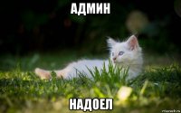 админ надоел