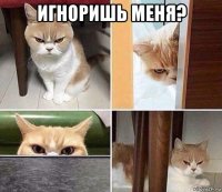 игноришь меня? 