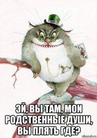 эй, вы там, мои родственные души, вы плять где?