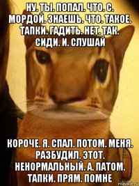 ну. ты. попал. что. с. мордой. знаешь. что. такое. тапки. гадить. нет. так. сиди. и. слушай короче. я. спал. потом. меня. разбудил. этот. ненормальный. а. патом. тапки. прям. помне